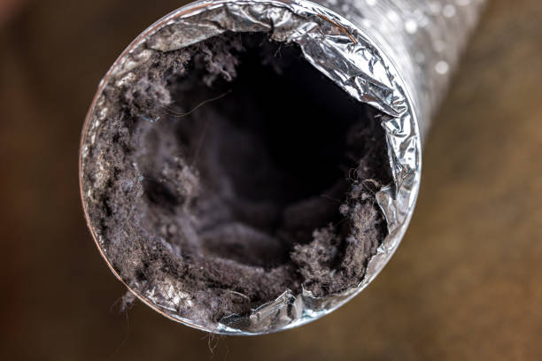 Best HVAC Duct Inspection Services  in Kirkland, WA
